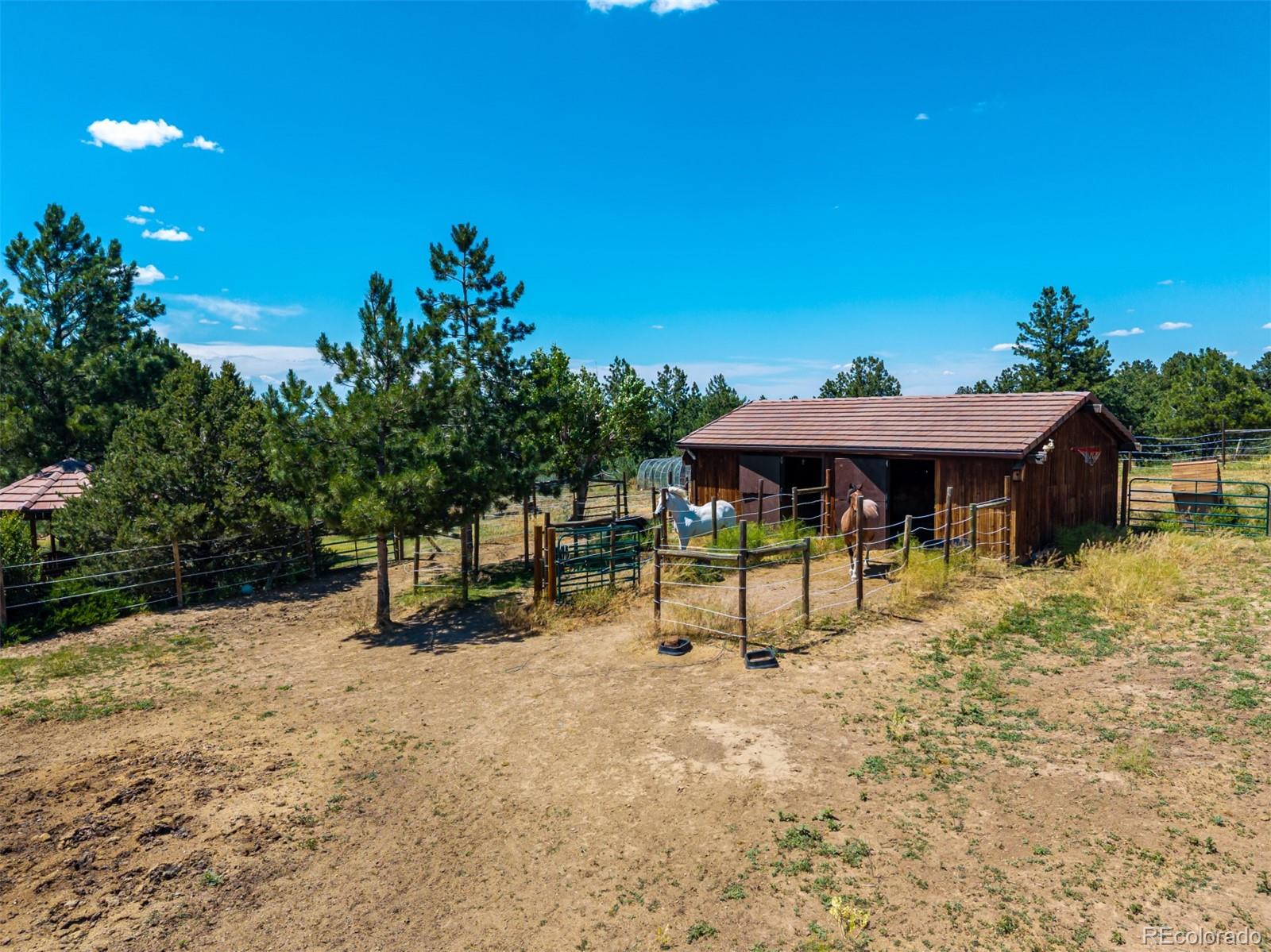MLS Image #44 for 8223  burning tree drive,franktown, Colorado