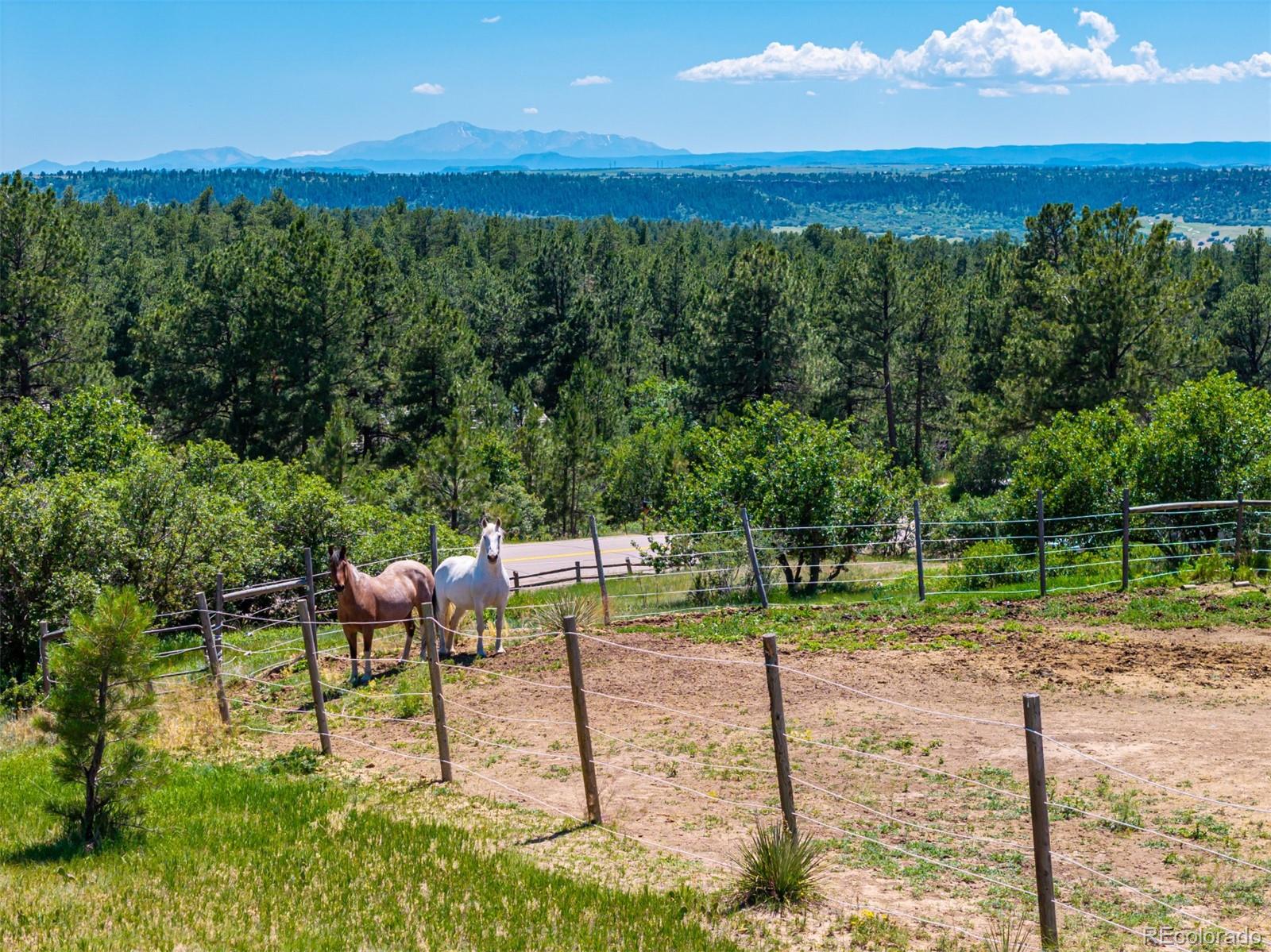 MLS Image #46 for 8223  burning tree drive,franktown, Colorado
