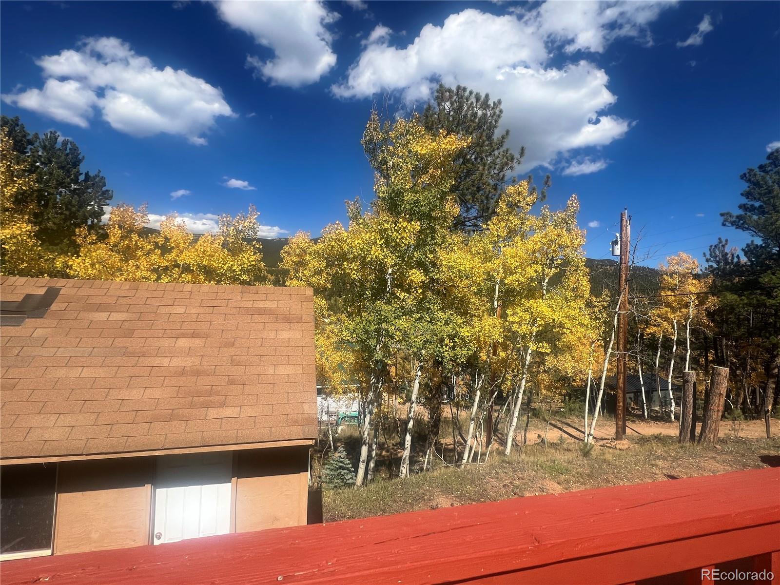 MLS Image #26 for 95  appleby street,bailey, Colorado