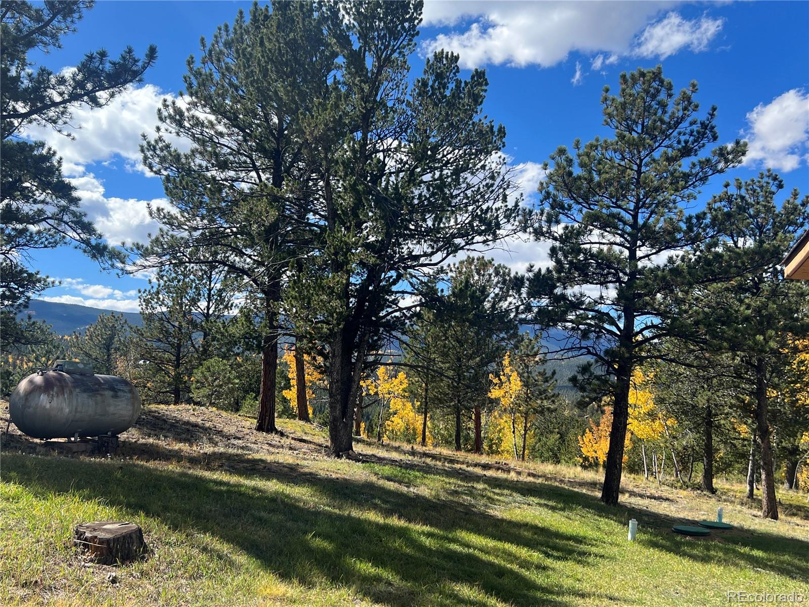 MLS Image #28 for 95  appleby street,bailey, Colorado