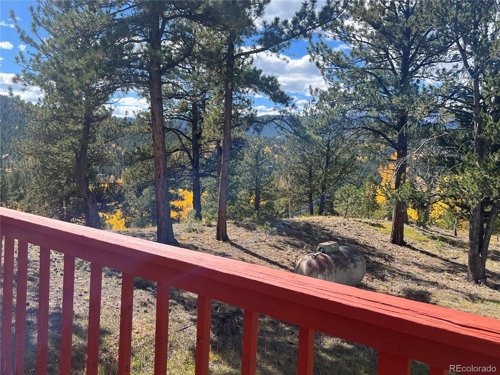 MLS Image #29 for 95  appleby street,bailey, Colorado
