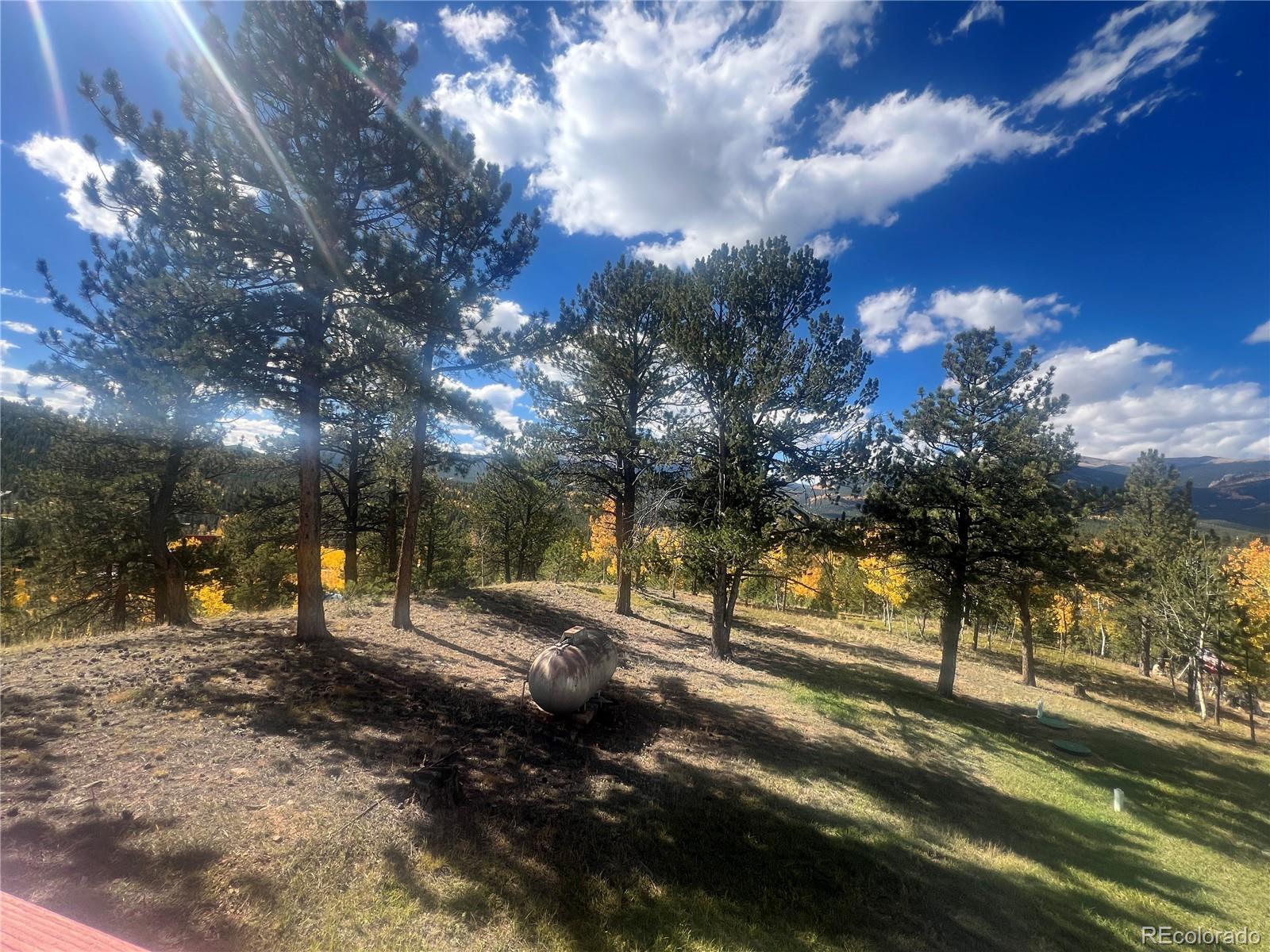 MLS Image #31 for 95  appleby street,bailey, Colorado