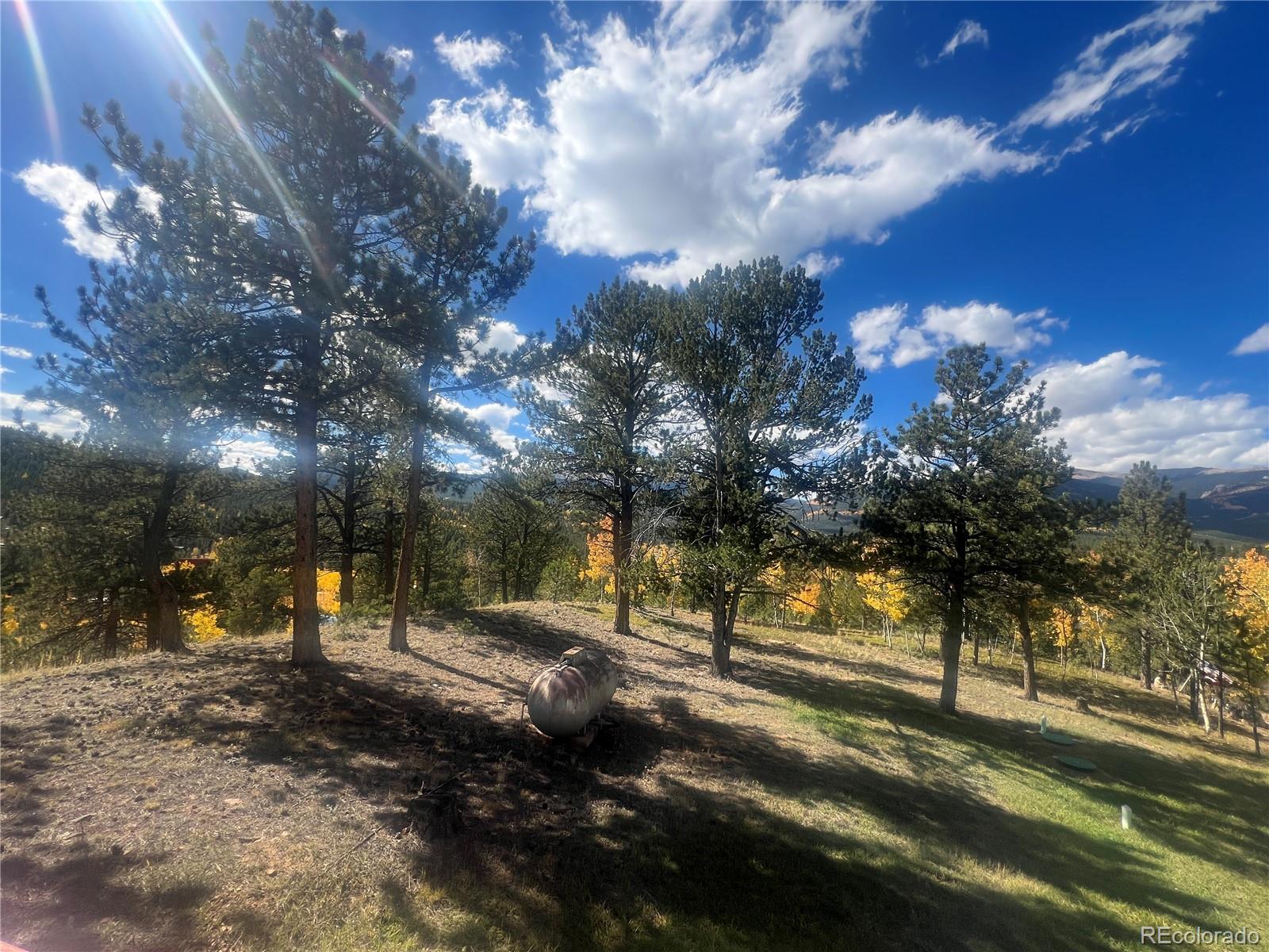 MLS Image #32 for 95  appleby street,bailey, Colorado