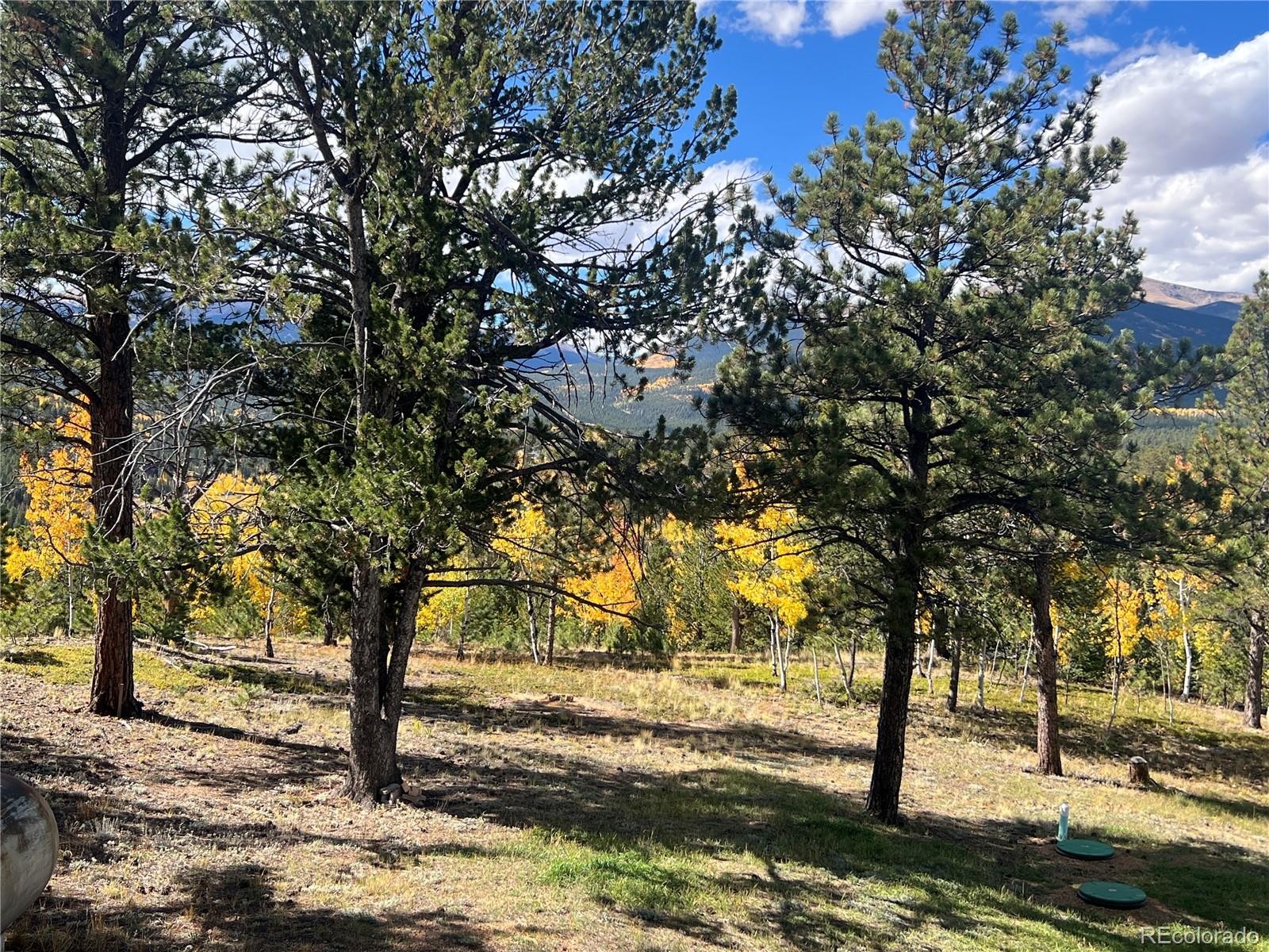 MLS Image #33 for 95  appleby street,bailey, Colorado
