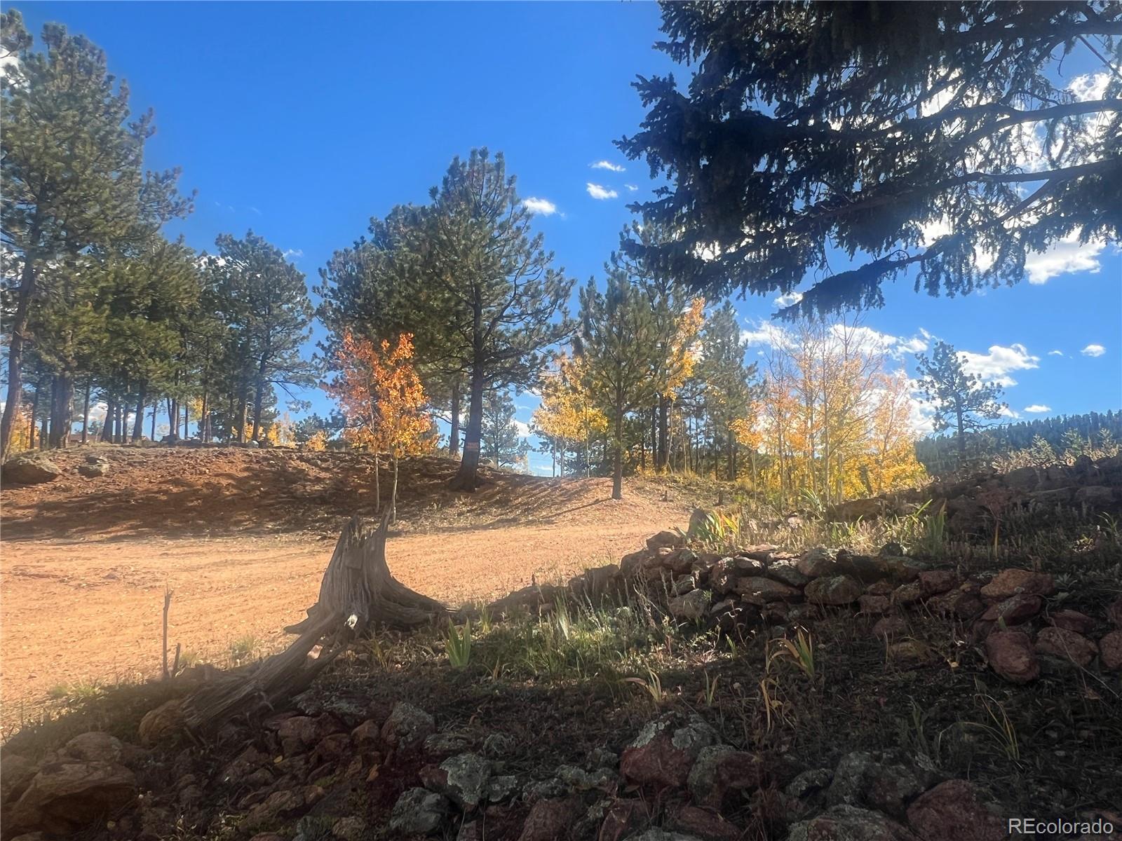 MLS Image #34 for 95  appleby street,bailey, Colorado