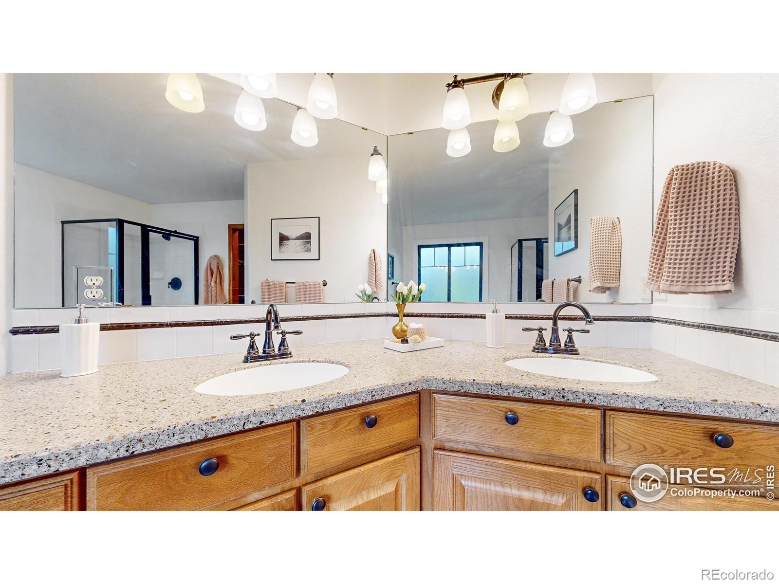MLS Image #15 for 2818  cherrystone place,fort collins, Colorado