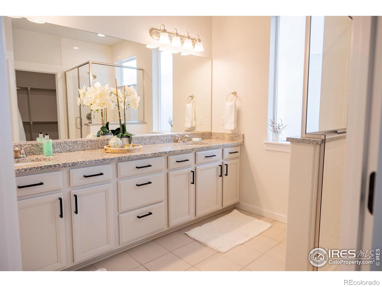 MLS Image #21 for 2099  setting sun drive,windsor, Colorado