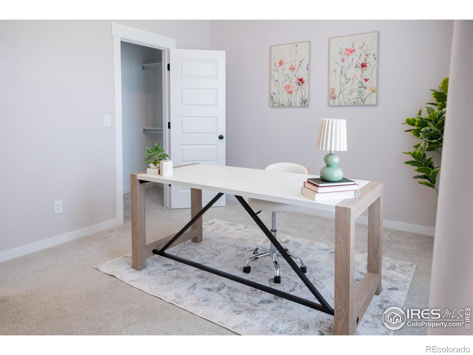 MLS Image #24 for 2099  setting sun drive,windsor, Colorado
