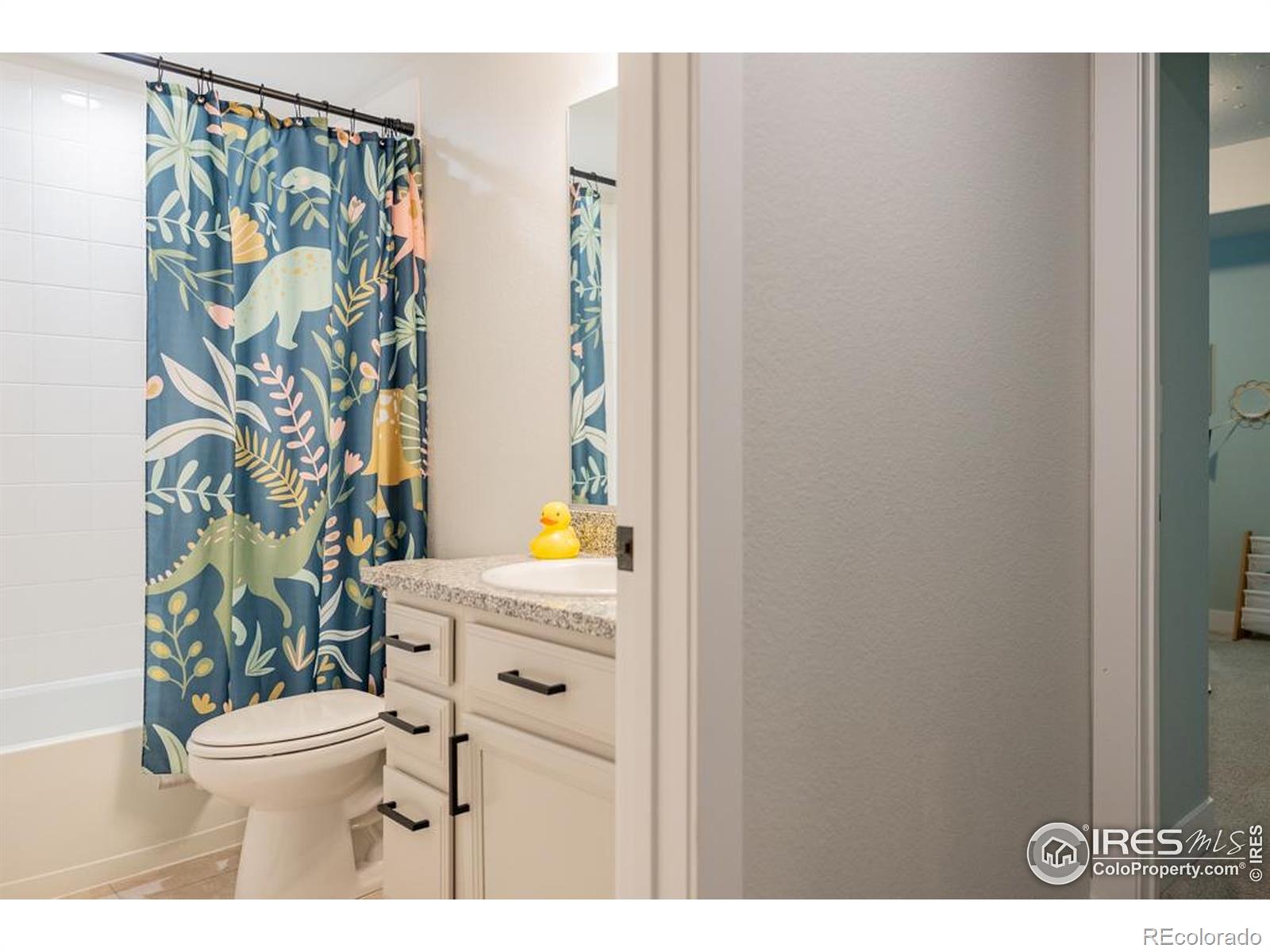 MLS Image #30 for 2099  setting sun drive,windsor, Colorado
