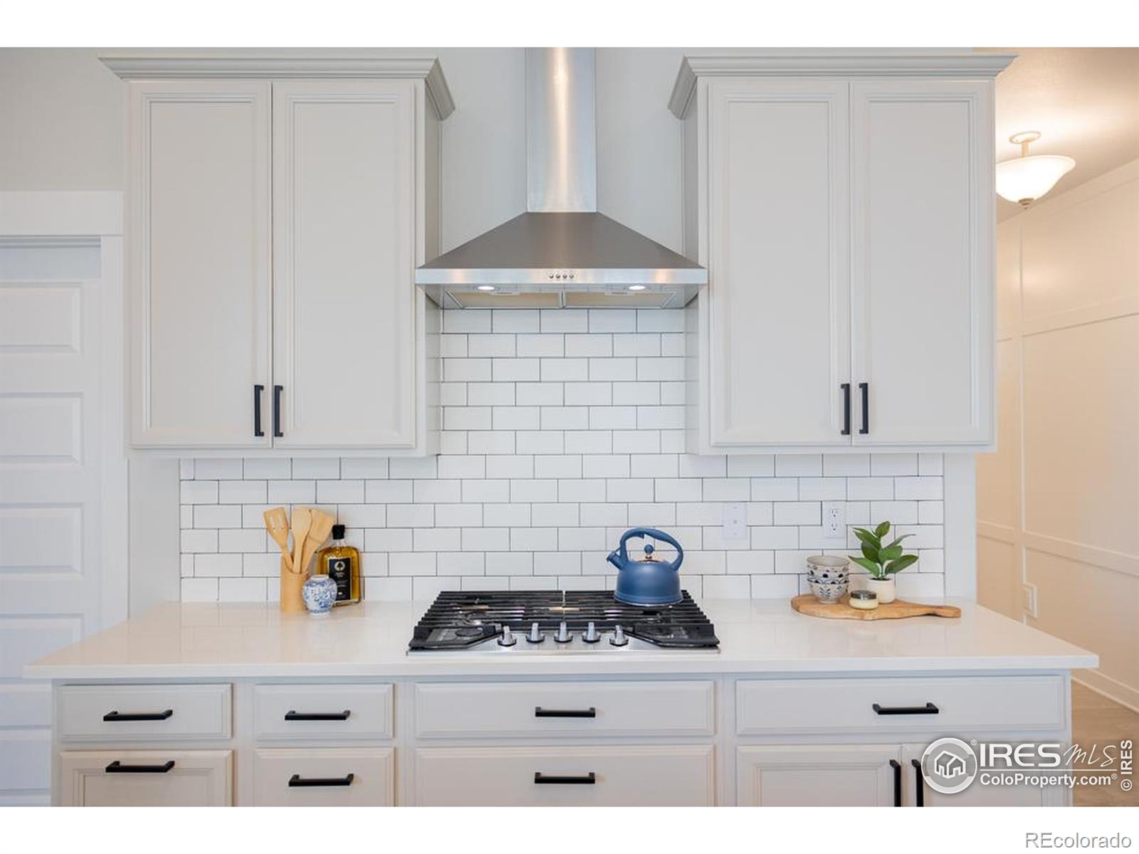 MLS Image #4 for 2099  setting sun drive,windsor, Colorado