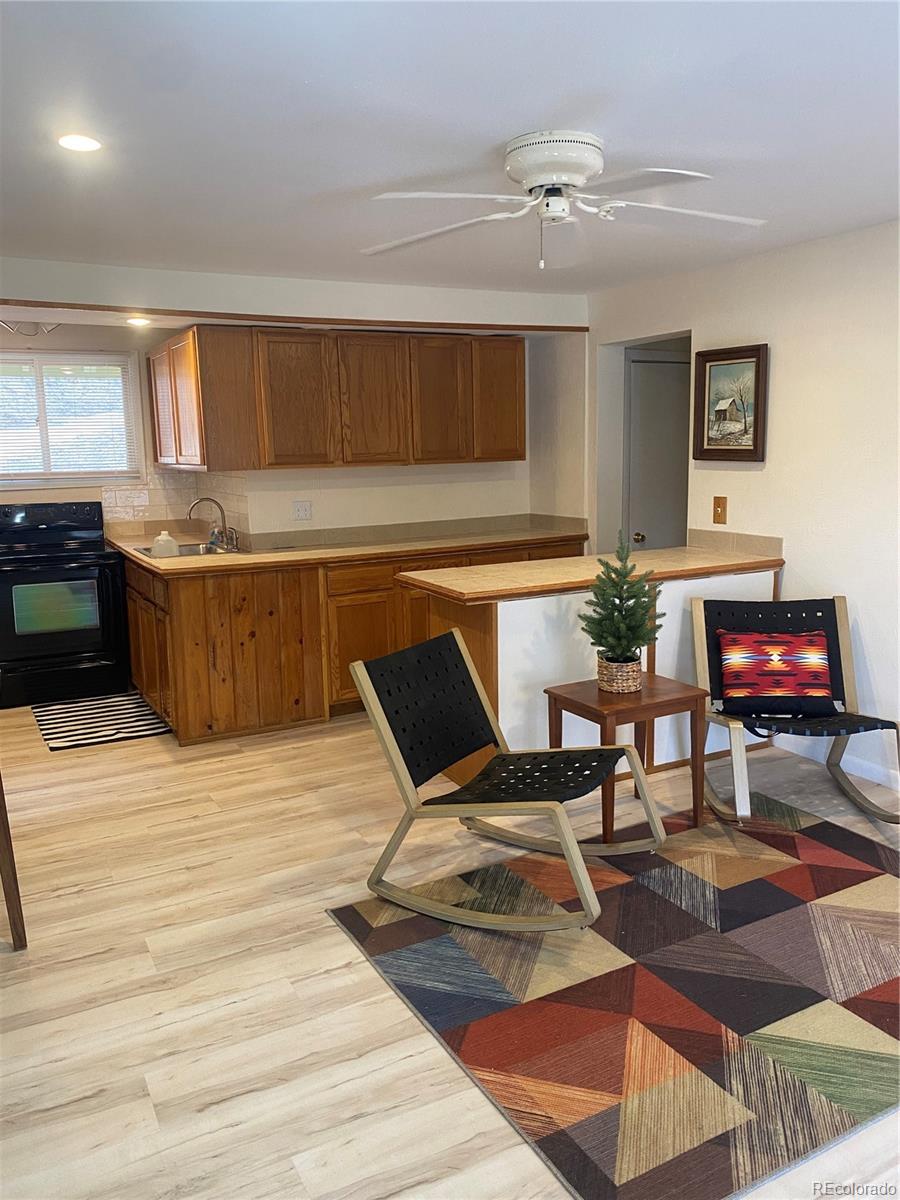 MLS Image #14 for 57920  us highway 285 ,bailey, Colorado