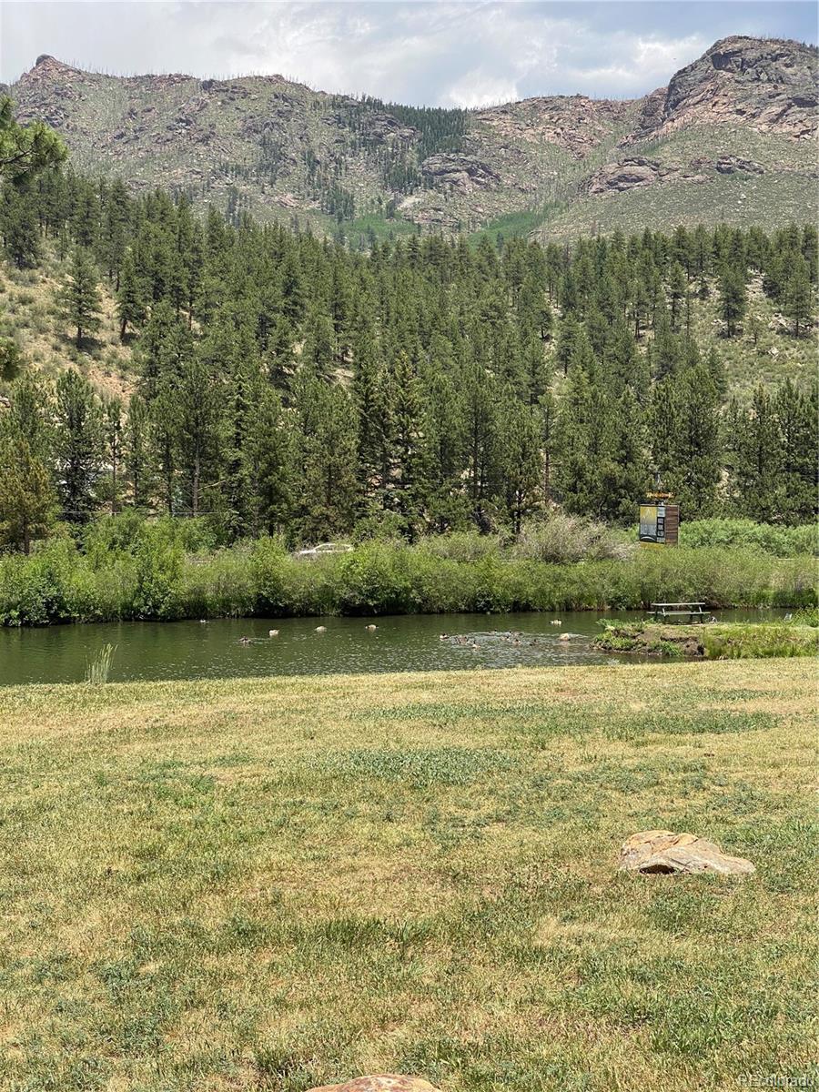 MLS Image #2 for 57920  us highway 285 ,bailey, Colorado