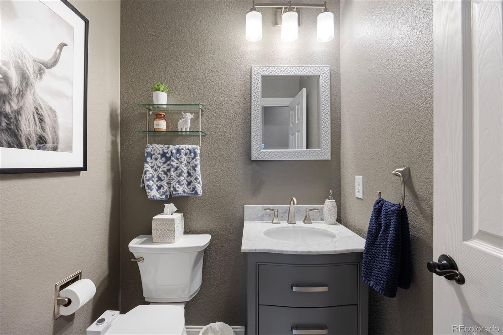 MLS Image #19 for 10060  royal eagle lane,highlands ranch, Colorado