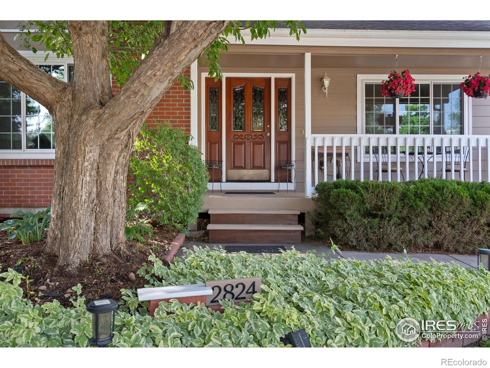 MLS Image #1 for 2824  zendt drive,fort collins, Colorado