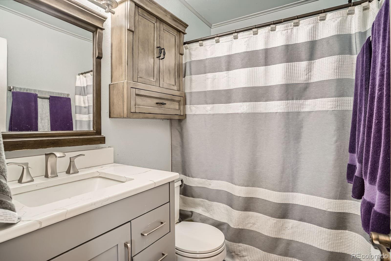 MLS Image #13 for 8510  faraday street,denver, Colorado