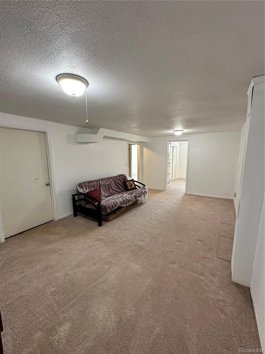 MLS Image #18 for 8510  faraday street,denver, Colorado