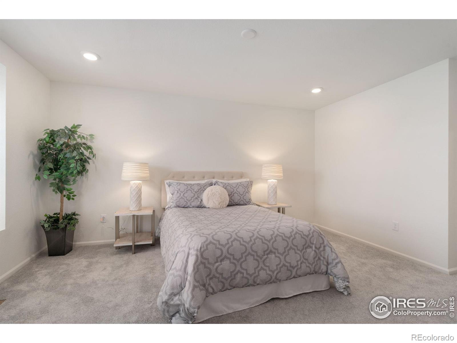 MLS Image #14 for 2423  whistler drive,longmont, Colorado