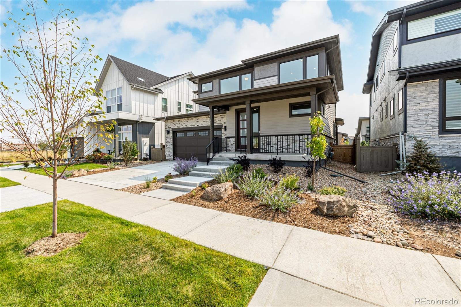 MLS Image #30 for 5595  wheaton avenue,longmont, Colorado