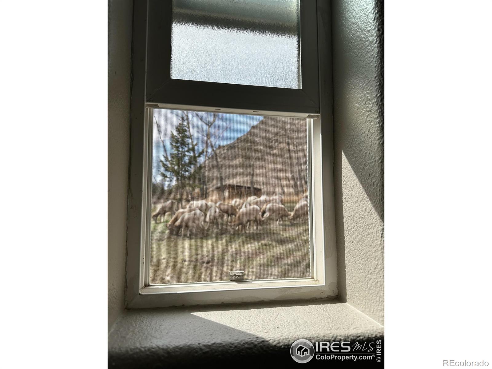 MLS Image #33 for 50481  us highway 285 ,grant, Colorado