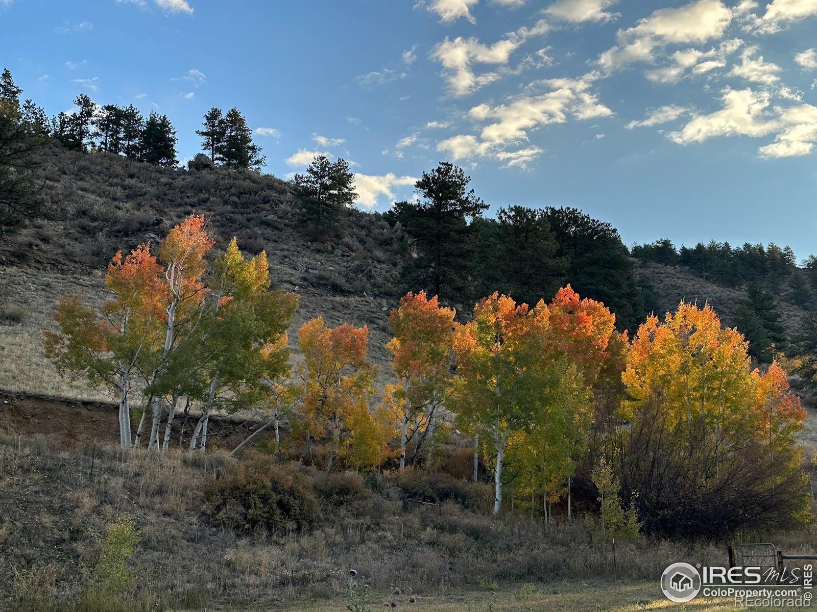 MLS Image #4 for 50481  us highway 285 ,grant, Colorado