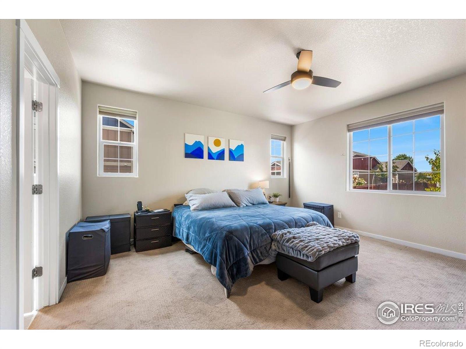MLS Image #11 for 2150  crop row drive,windsor, Colorado
