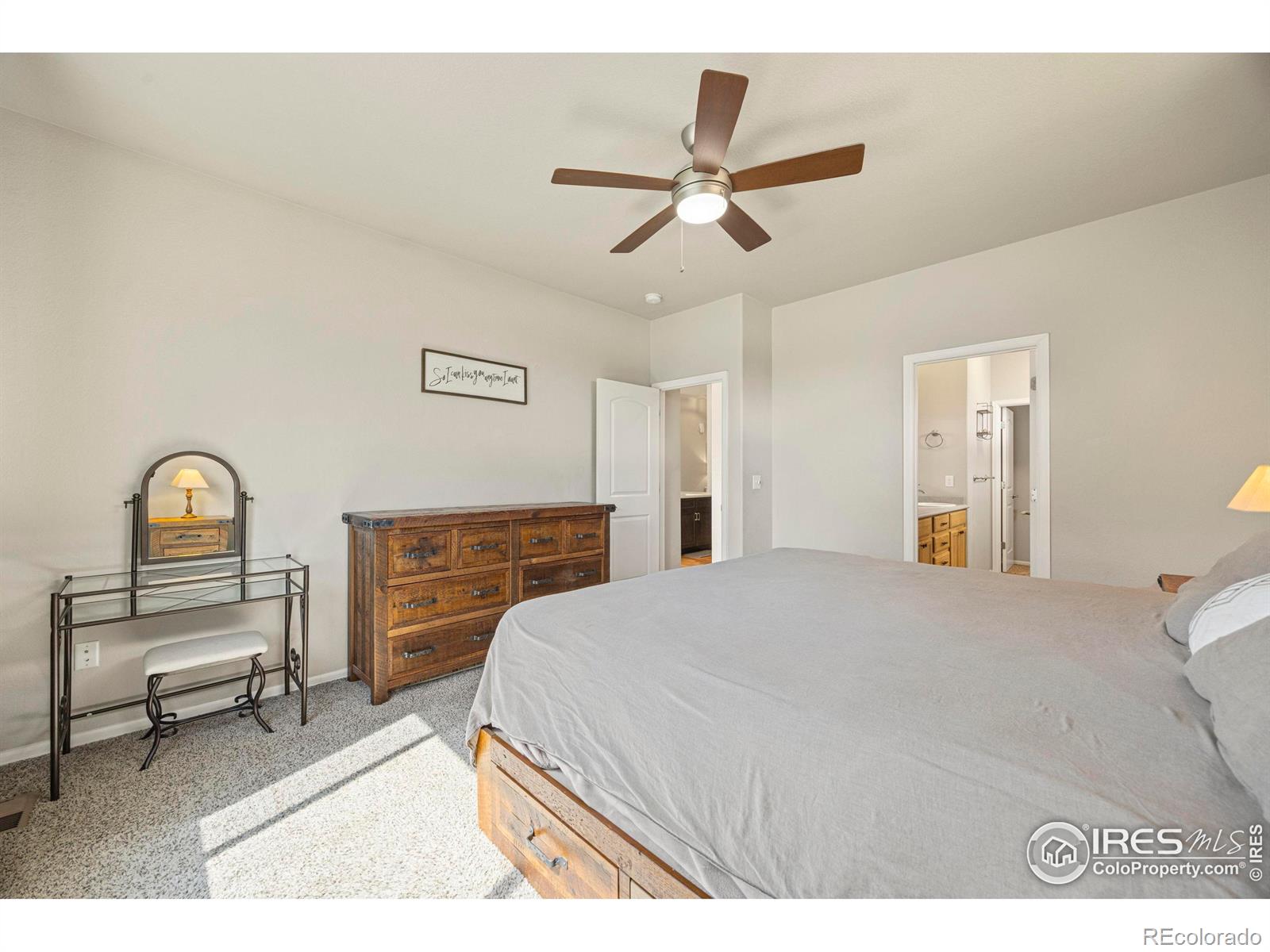 MLS Image #14 for 381  mt bross avenue,severance, Colorado