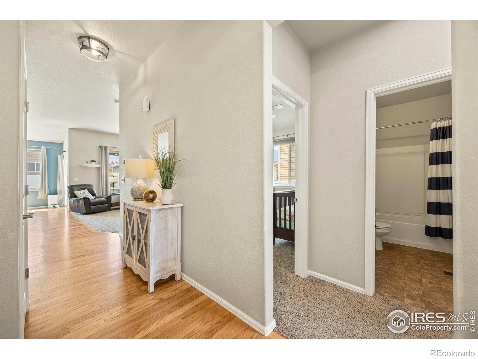 MLS Image #2 for 381  mt bross avenue,severance, Colorado
