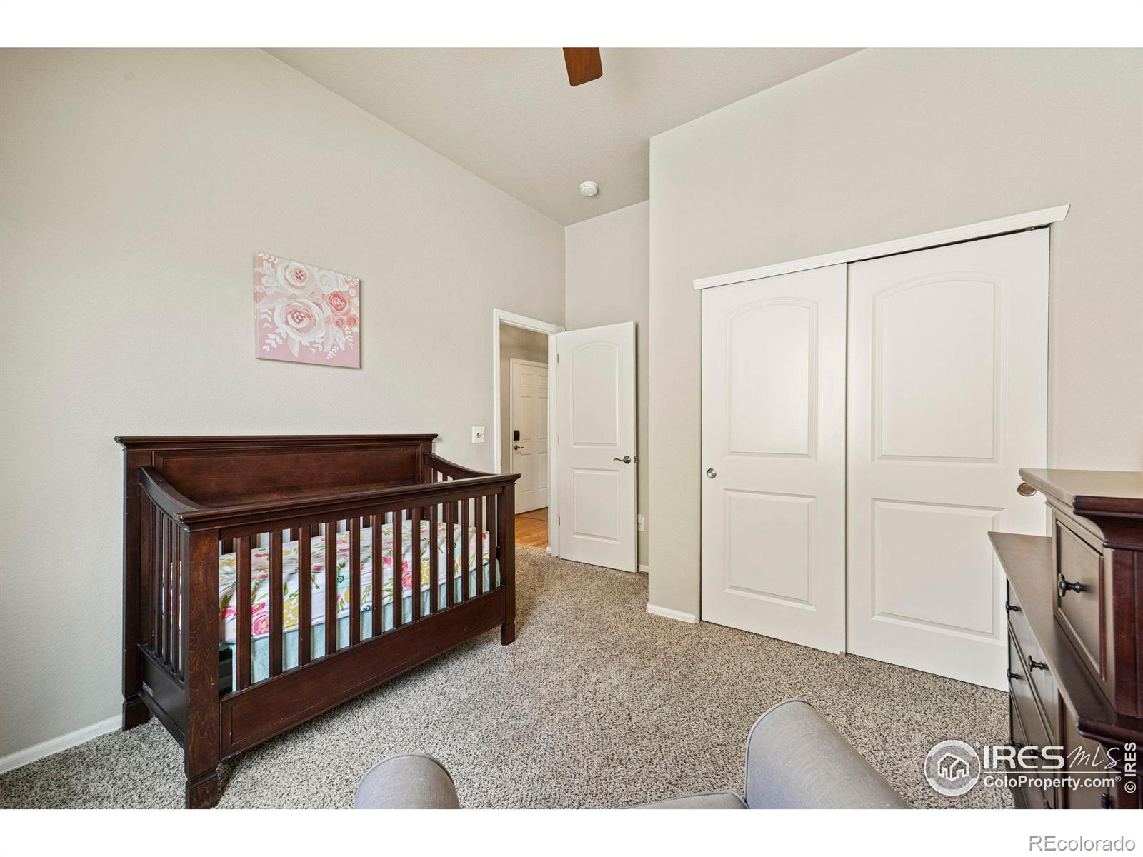 MLS Image #22 for 381  mt bross avenue,severance, Colorado