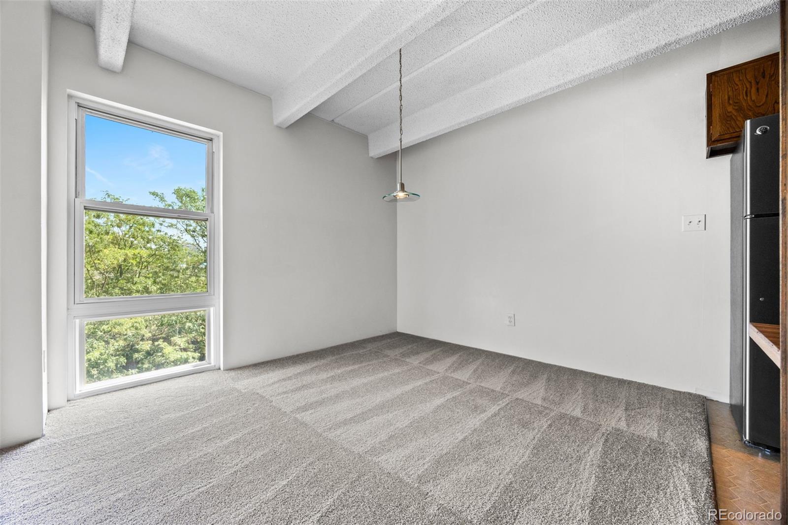 MLS Image #10 for 1255 n ogden street 406,denver, Colorado
