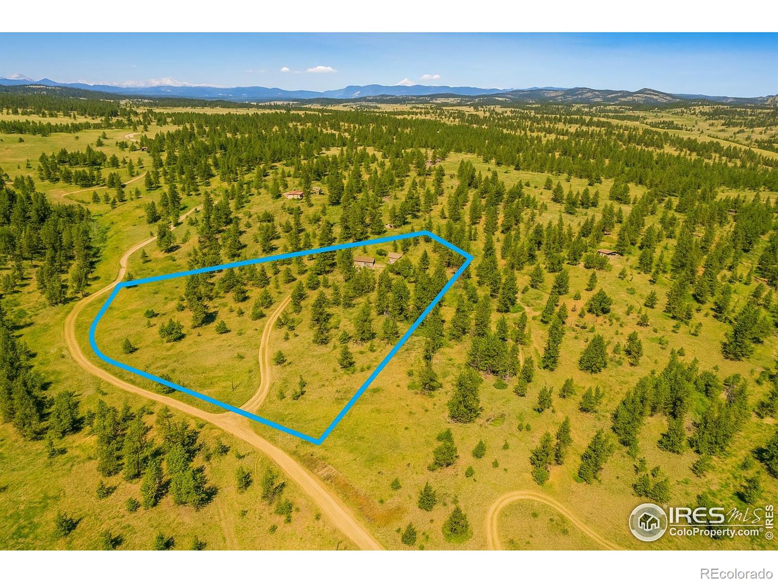 MLS Image #1 for 3367  badger creek road,hartsel, Colorado