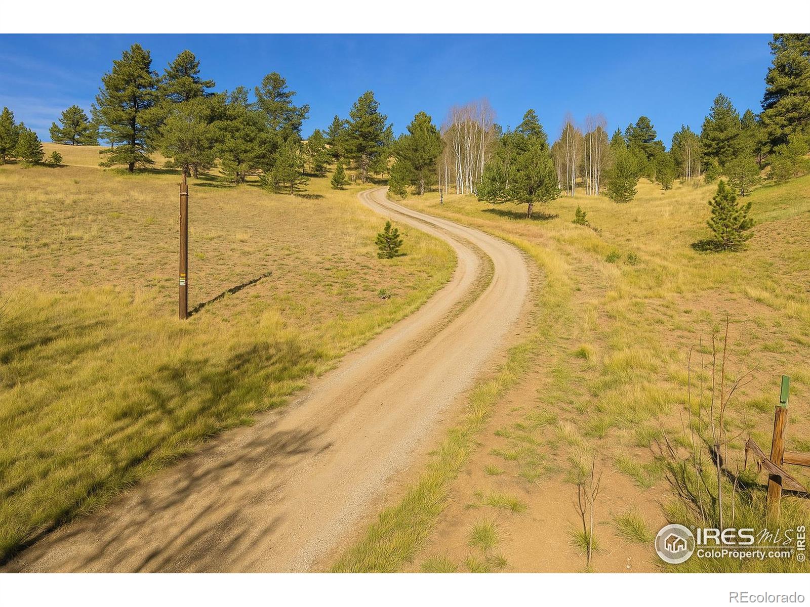 MLS Image #2 for 3367  badger creek road,hartsel, Colorado