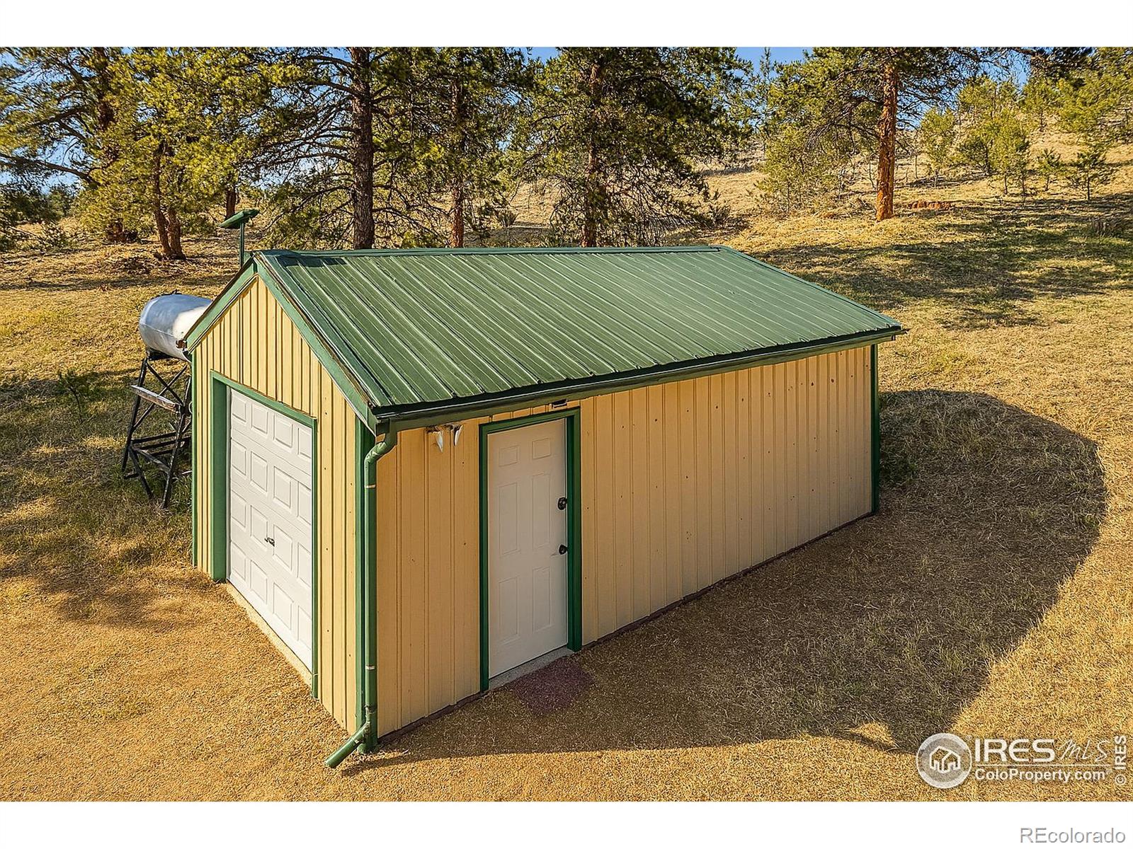 MLS Image #3 for 3367  badger creek road,hartsel, Colorado
