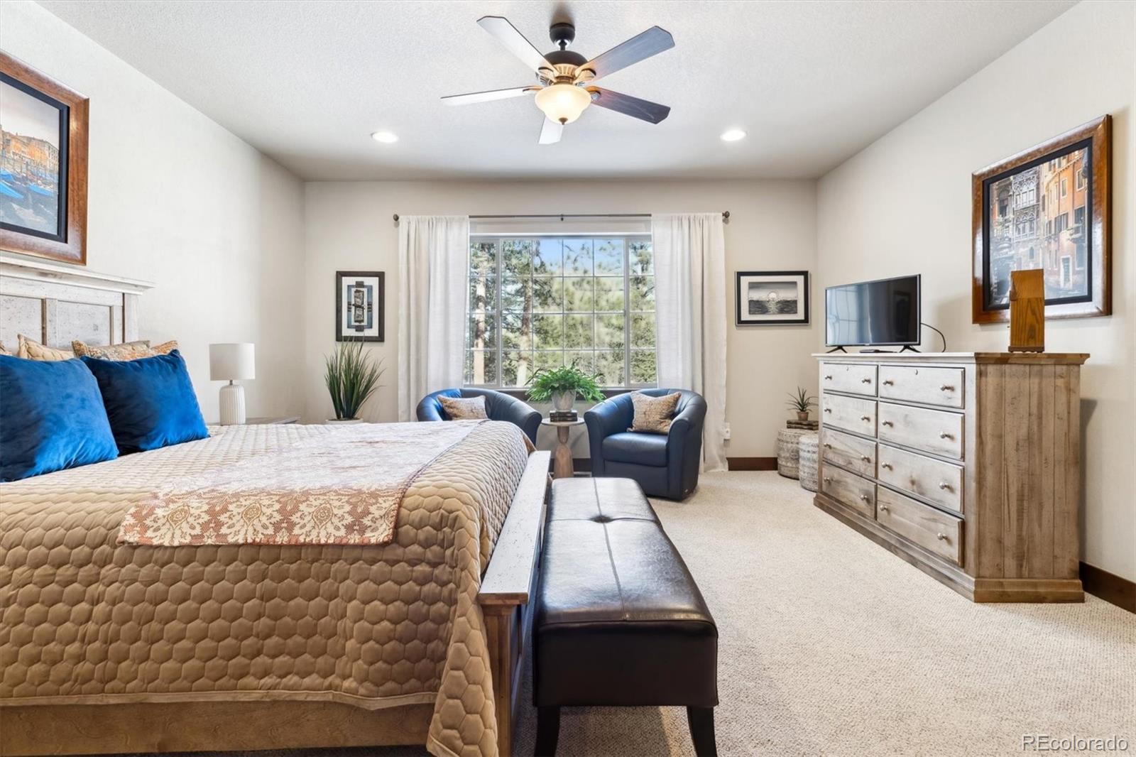 MLS Image #18 for 1151  kenosha drive,larkspur, Colorado