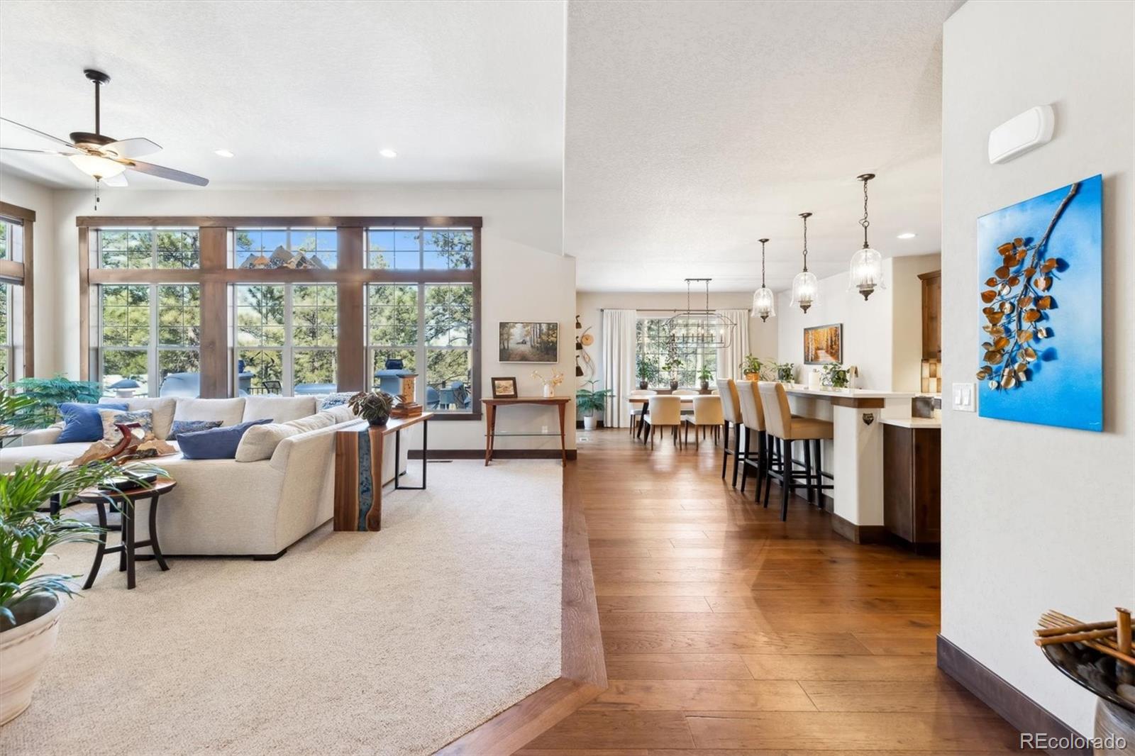 MLS Image #8 for 1151  kenosha drive,larkspur, Colorado
