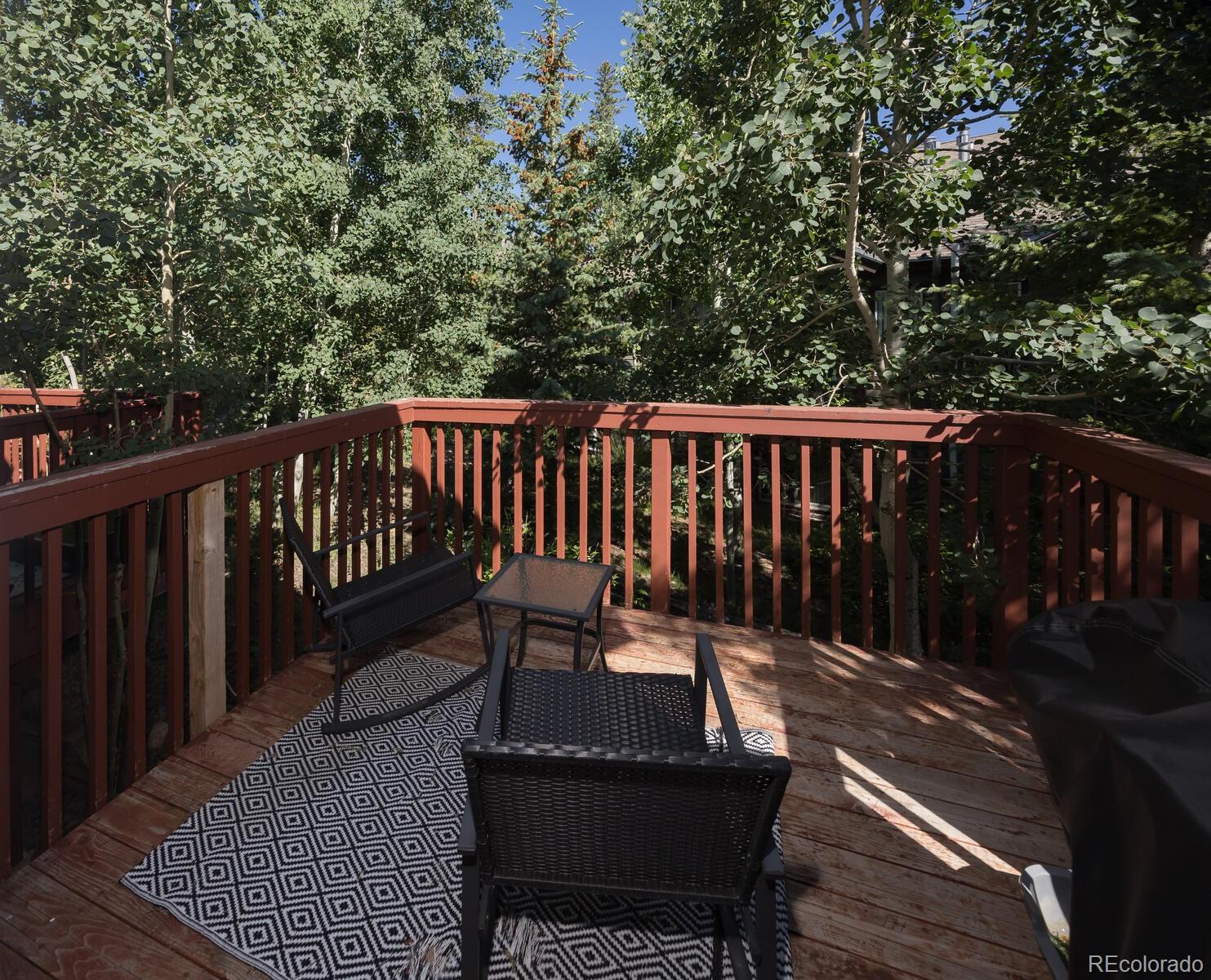 MLS Image #4 for 77  spyglass lane,silverthorne, Colorado