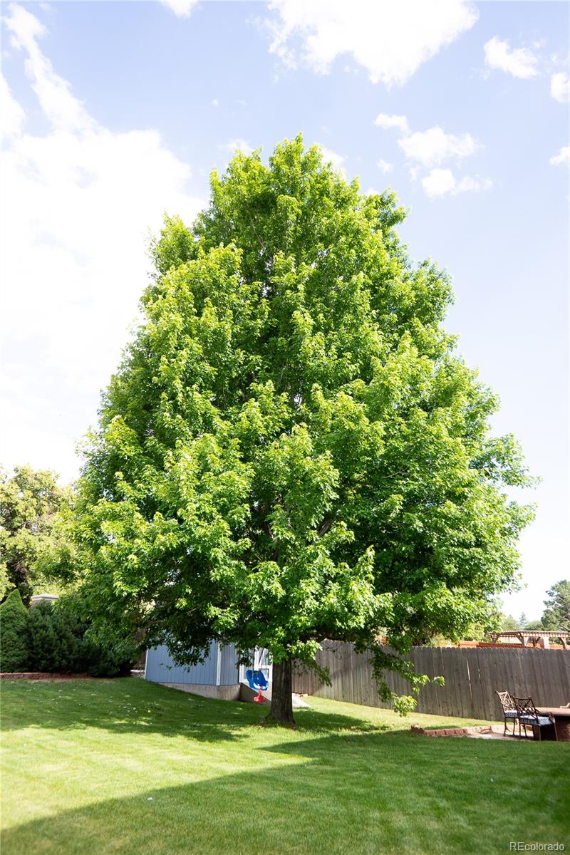 MLS Image #23 for 8261  cooper river drive,colorado springs, Colorado