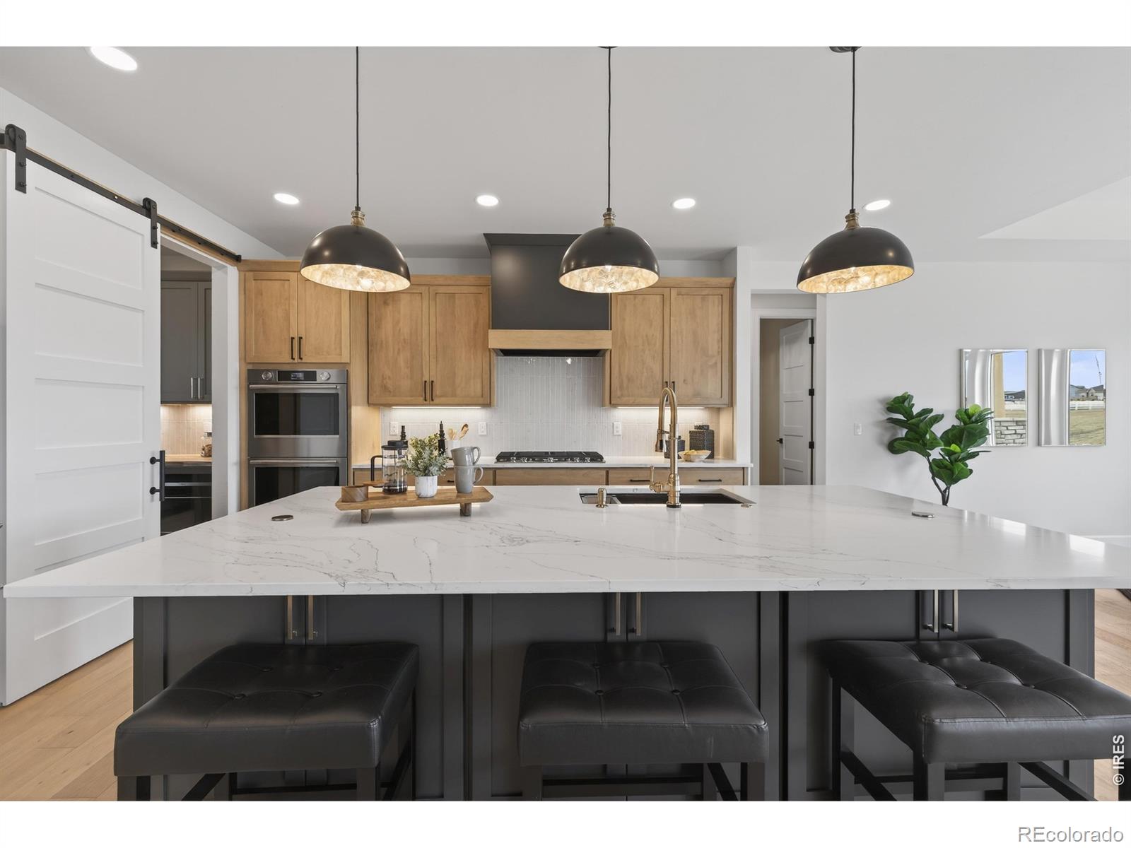 MLS Image #12 for 2664  cutter drive,severance, Colorado