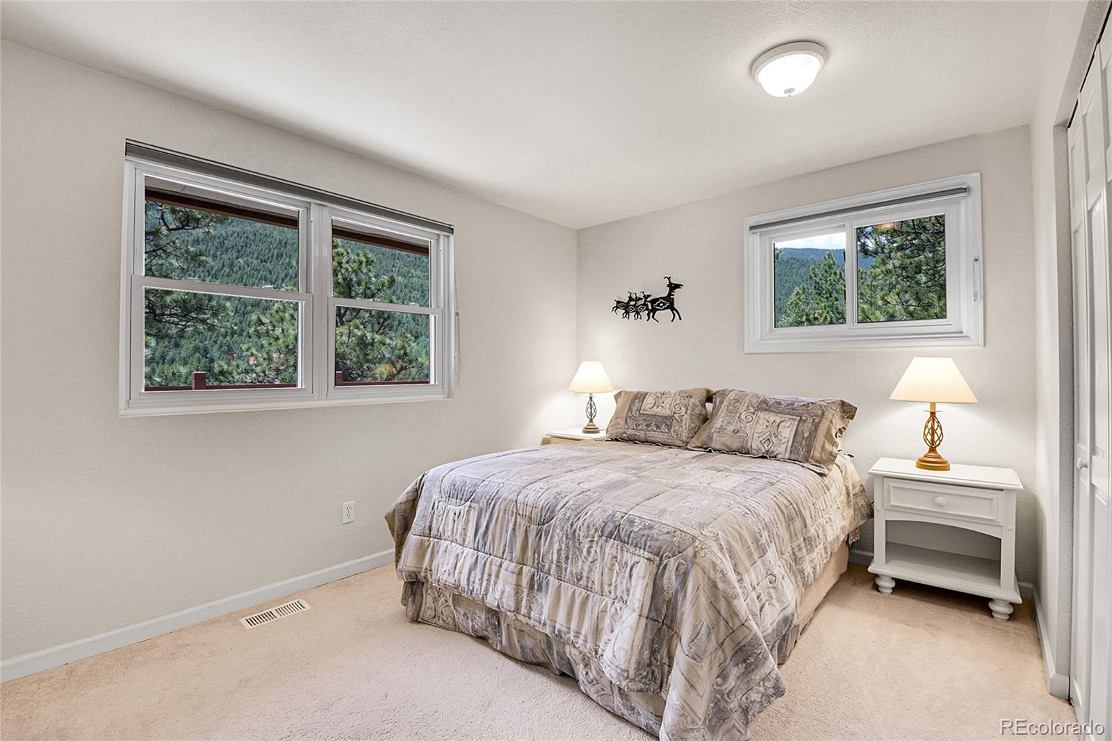 MLS Image #22 for 360  aspen place,evergreen, Colorado
