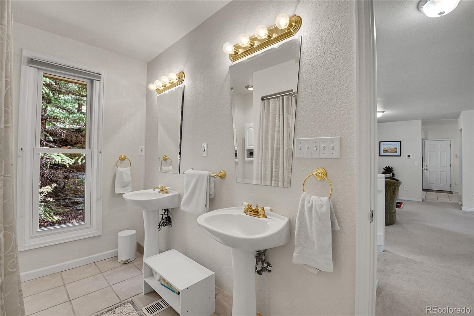MLS Image #23 for 360  aspen place,evergreen, Colorado