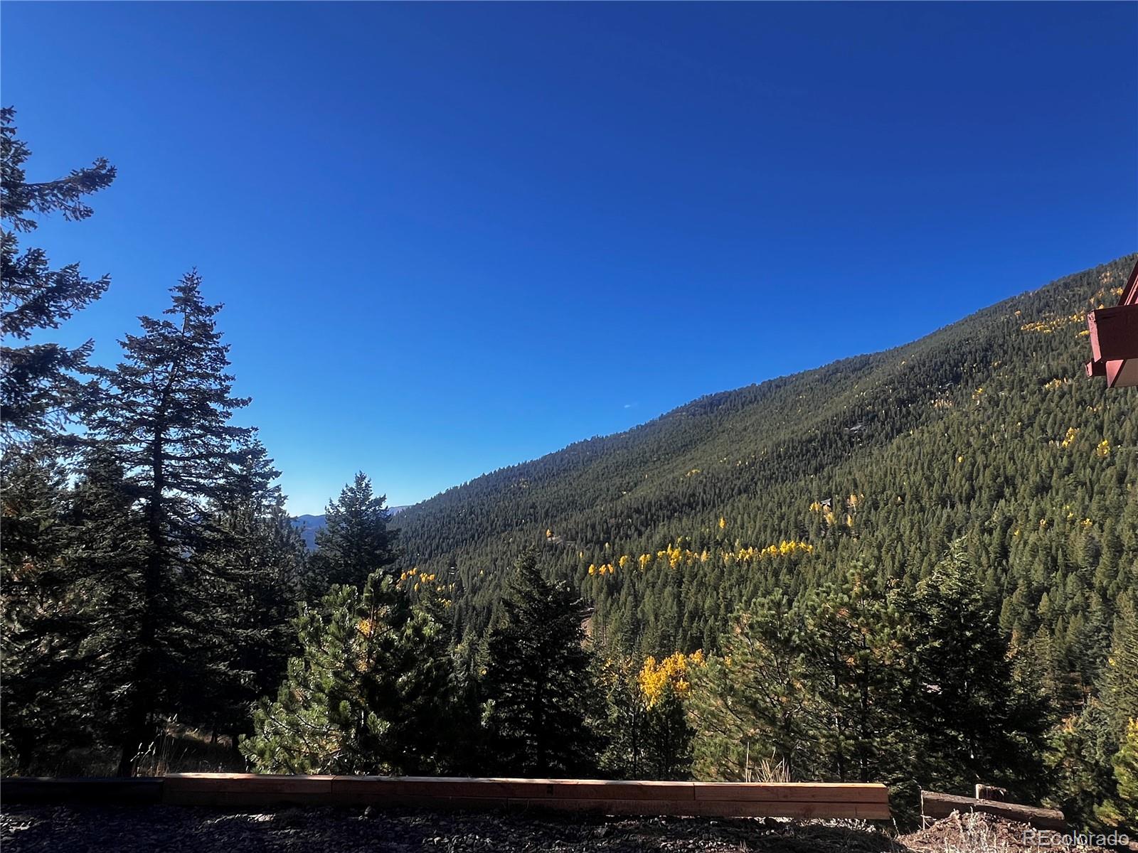 MLS Image #3 for 360  aspen place,evergreen, Colorado
