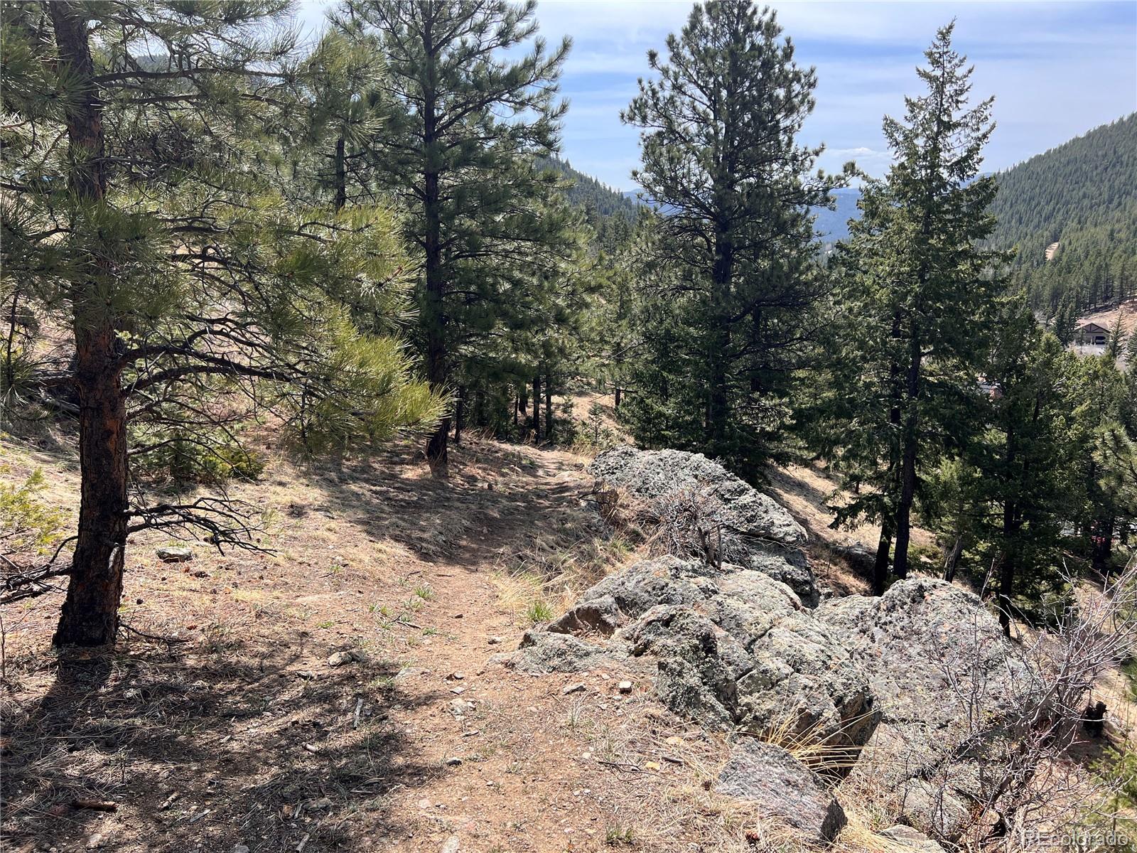 MLS Image #44 for 360  aspen place,evergreen, Colorado