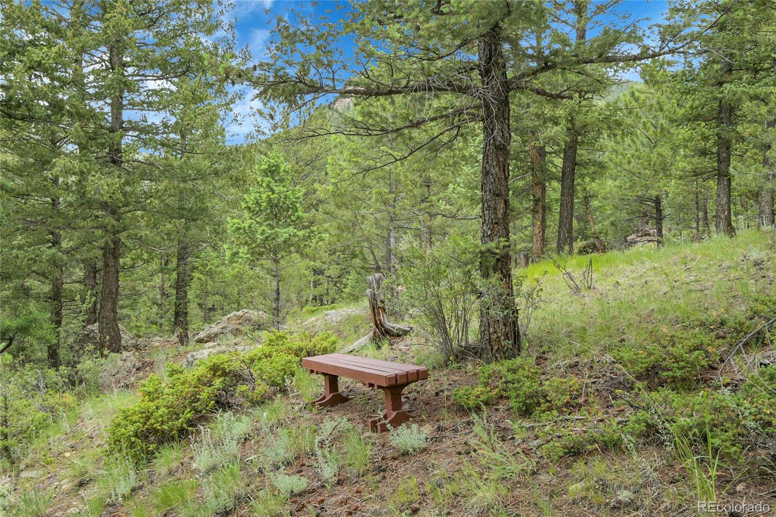 MLS Image #45 for 360  aspen place,evergreen, Colorado