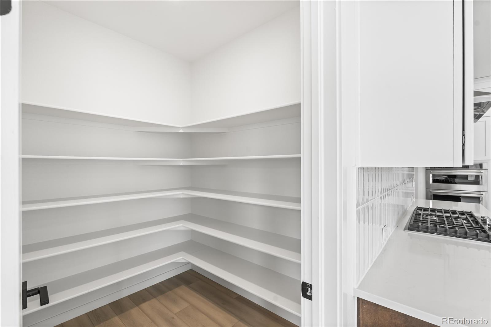 MLS Image #20 for 8850  moonshimmer trail,littleton, Colorado