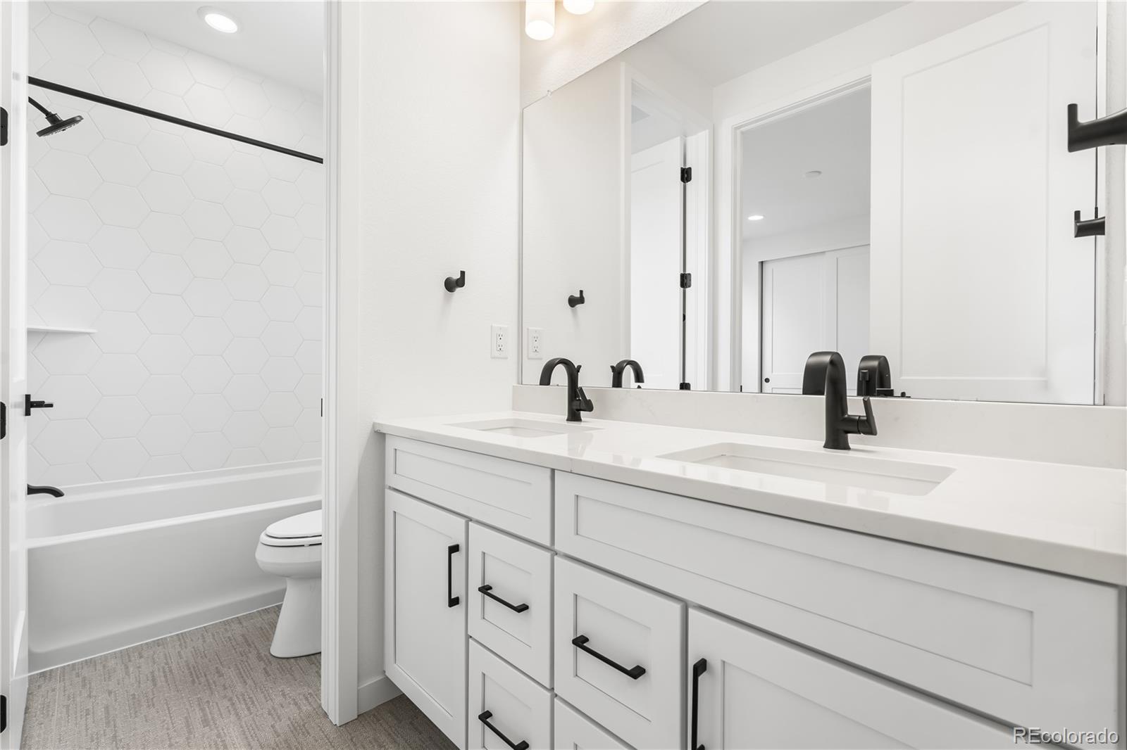 MLS Image #28 for 8850  moonshimmer trail,littleton, Colorado