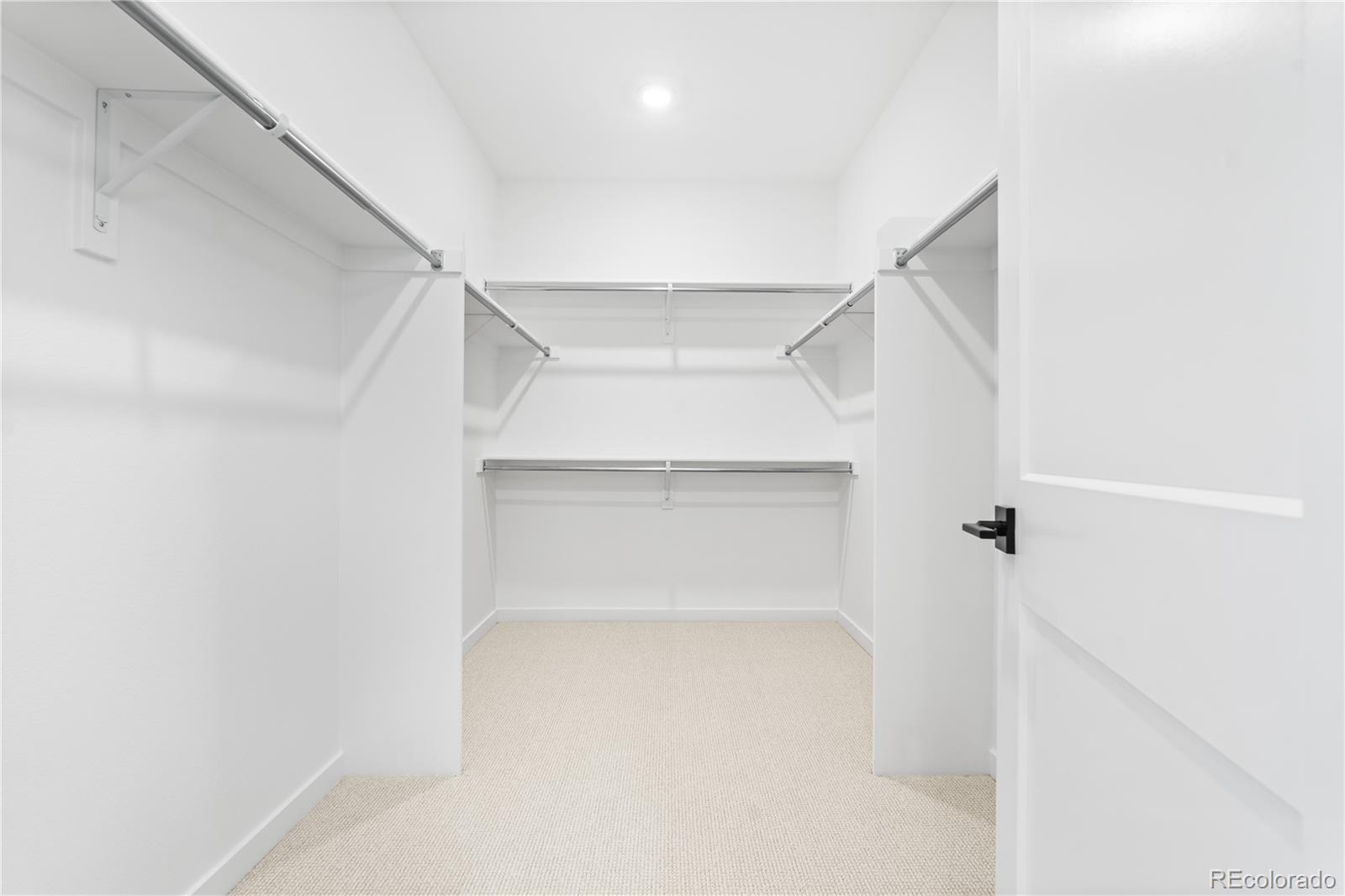 MLS Image #31 for 8850  moonshimmer trail,littleton, Colorado