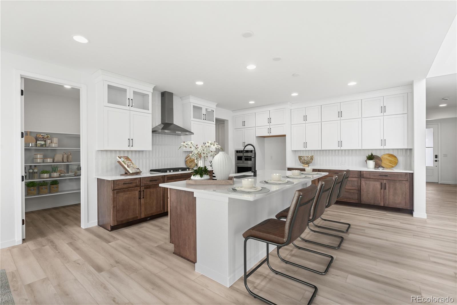MLS Image #9 for 8850  moonshimmer trail,littleton, Colorado