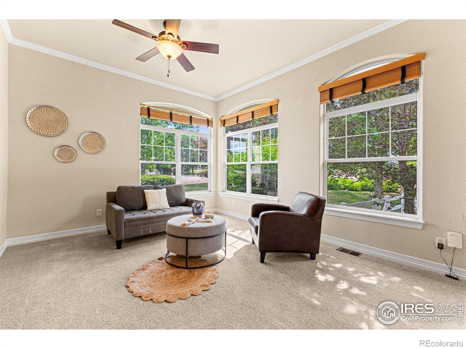 MLS Image #5 for 6495  eagle shadow avenue,brighton, Colorado