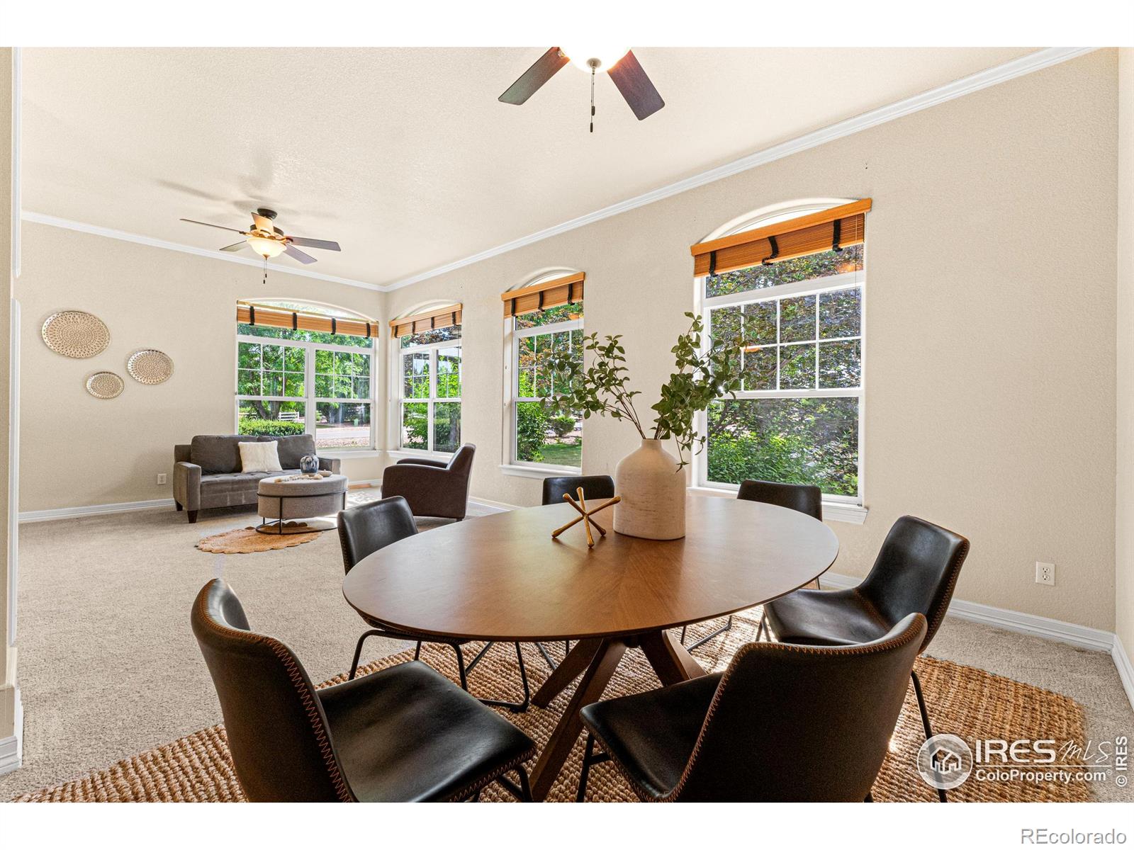MLS Image #6 for 6495  eagle shadow avenue,brighton, Colorado