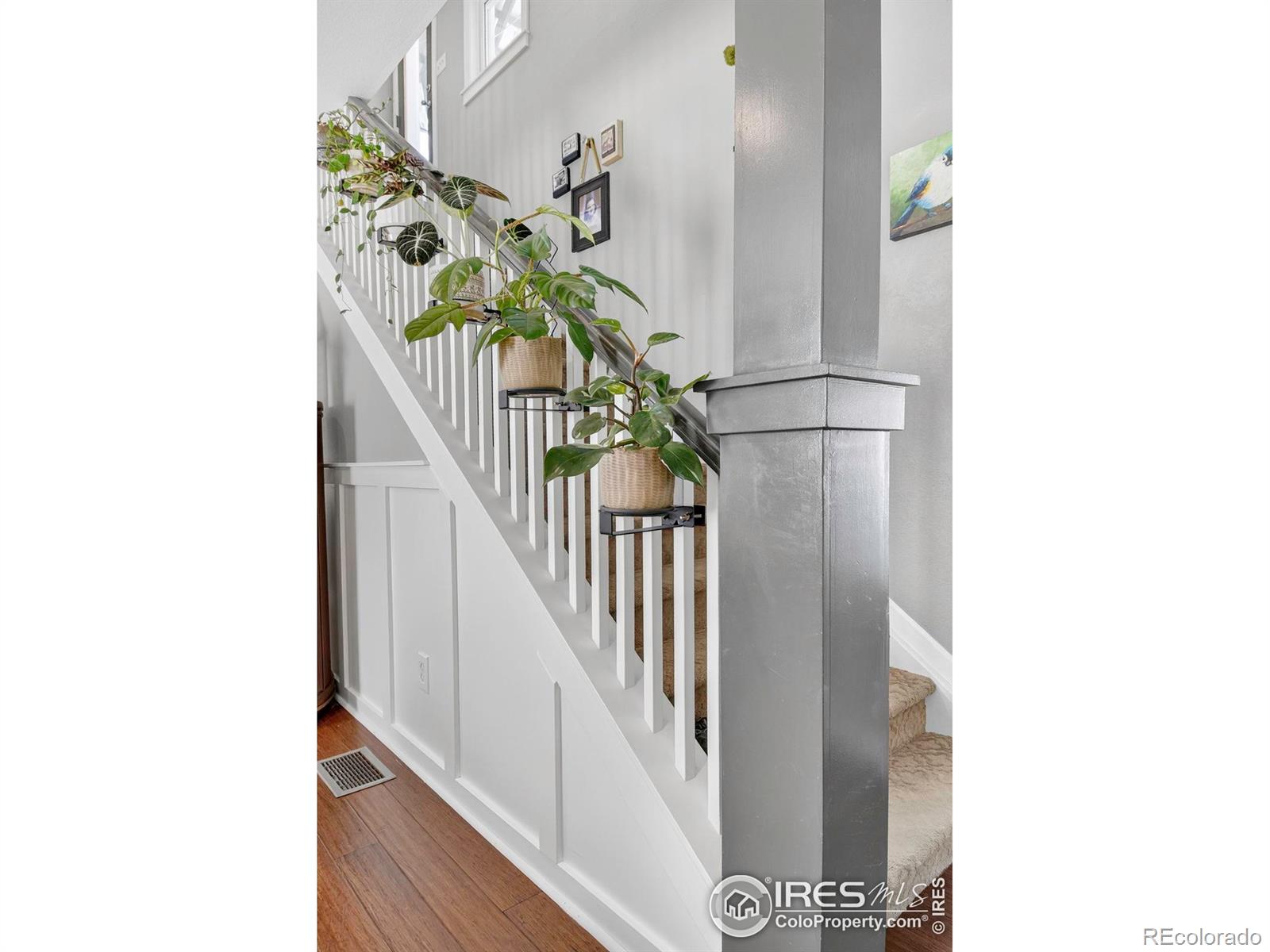 MLS Image #17 for 1037  katy lane,longmont, Colorado
