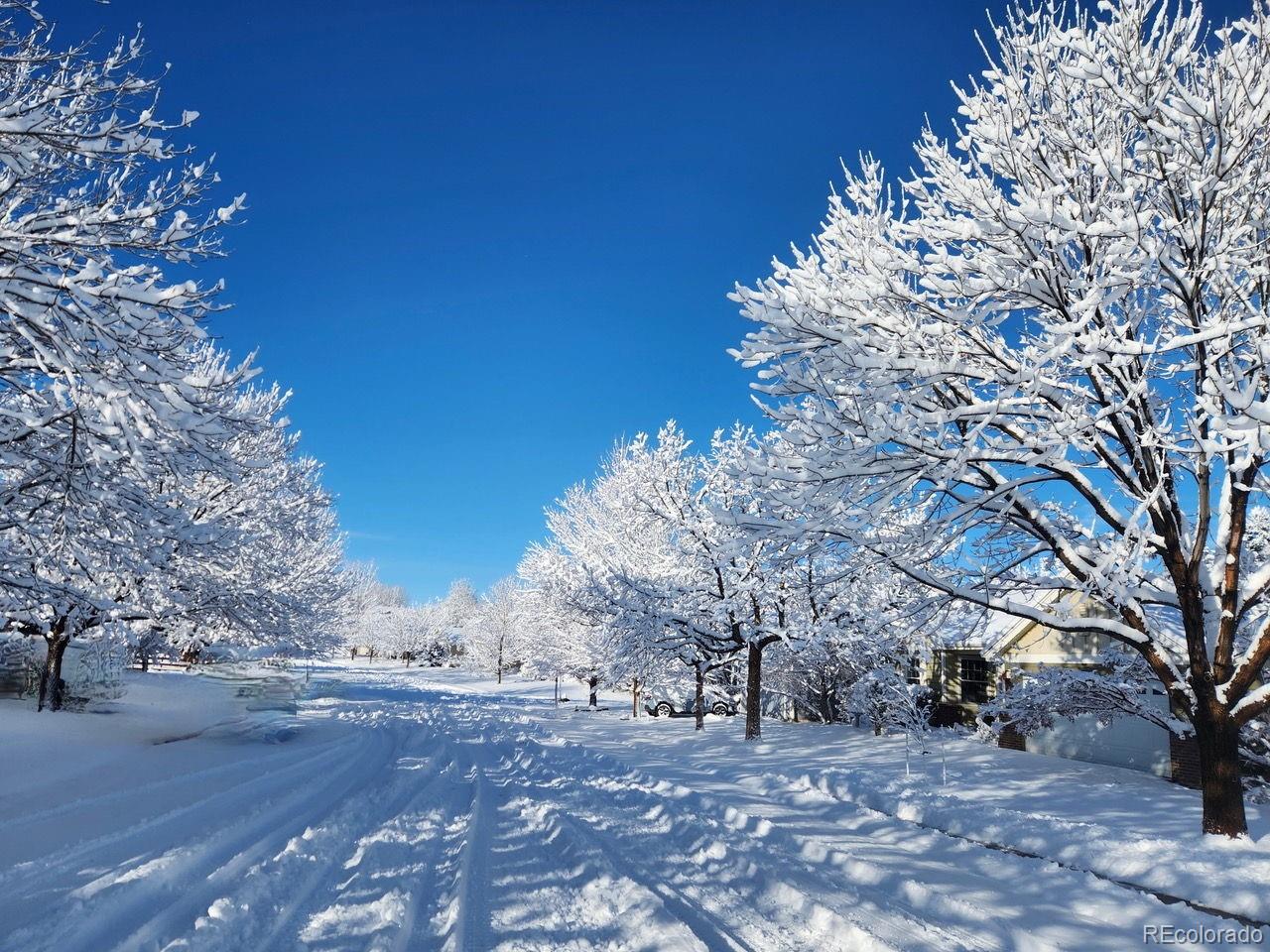 MLS Image #34 for 829  sanctuary circle,longmont, Colorado